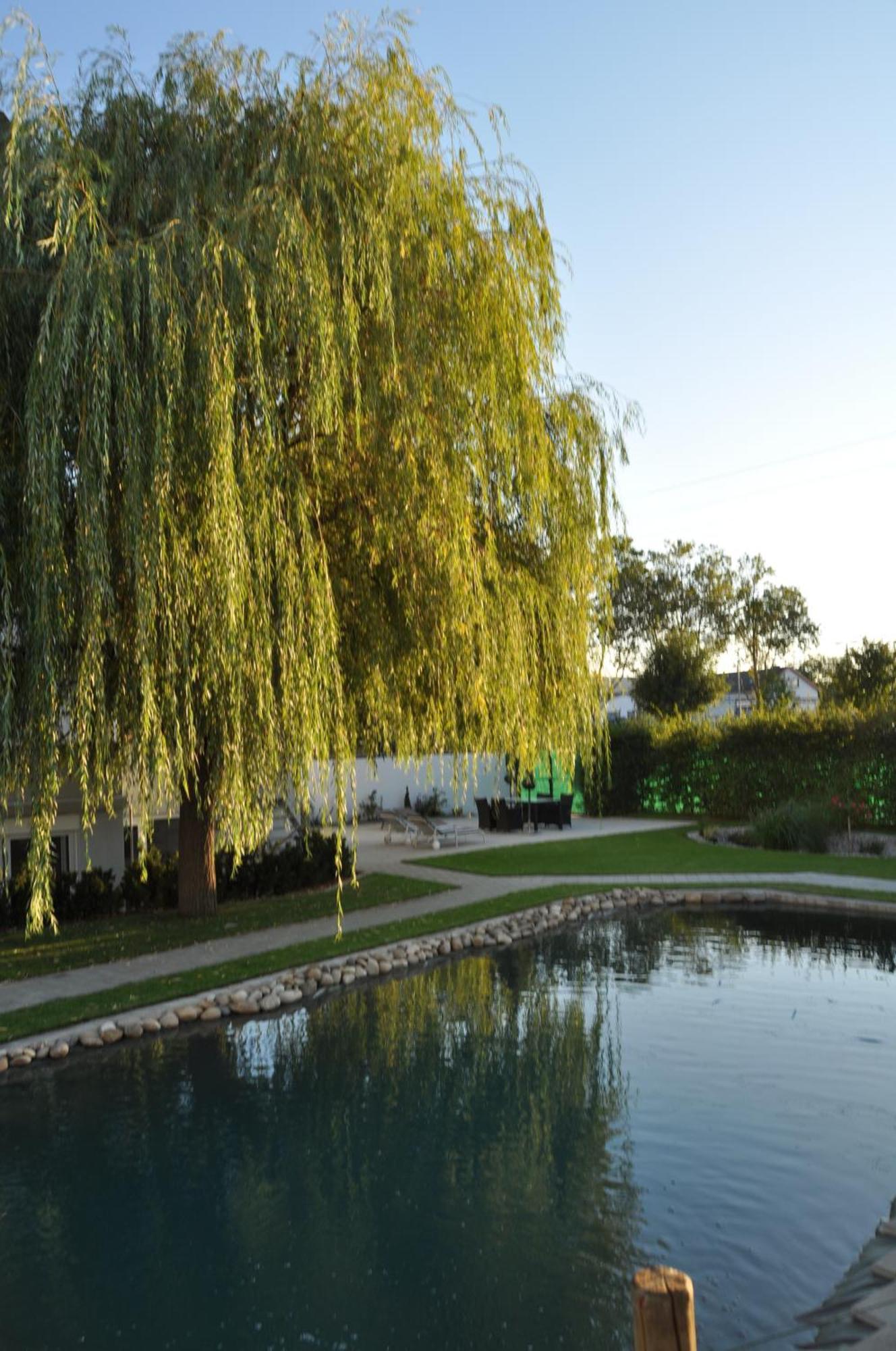 Kirchers Park & Wellnesshotel Kaiserstuhl Garni Endingen am Kaiserstuhl Exterior photo